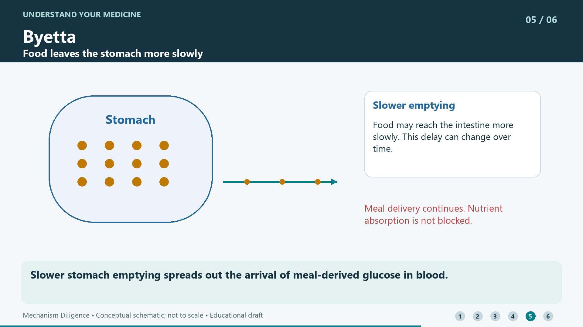 Slower stomach emptying spreads out the arrival of meal-derived glucose in blood.