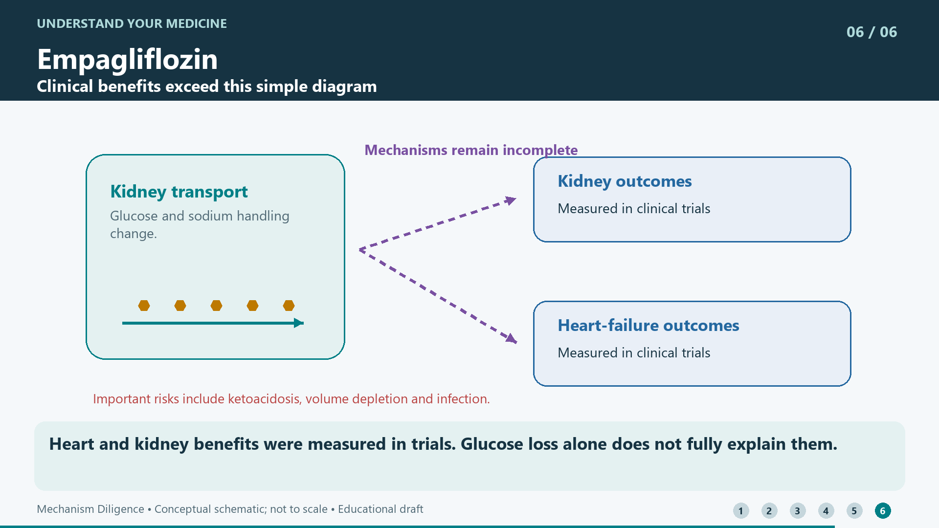 Heart and kidney benefits were measured in trials. Glucose loss alone does not fully explain them.