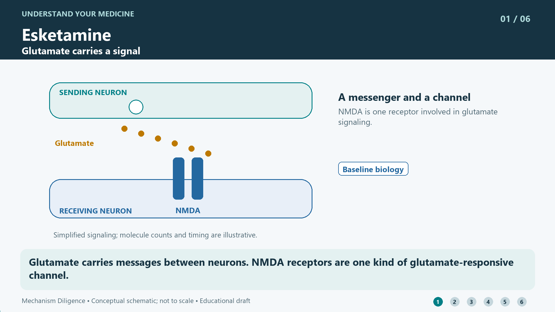 Esketamine mechanism: Glutamate carries messages between neurons. NMDA receptors are one kind of glutamate-responsive channel.