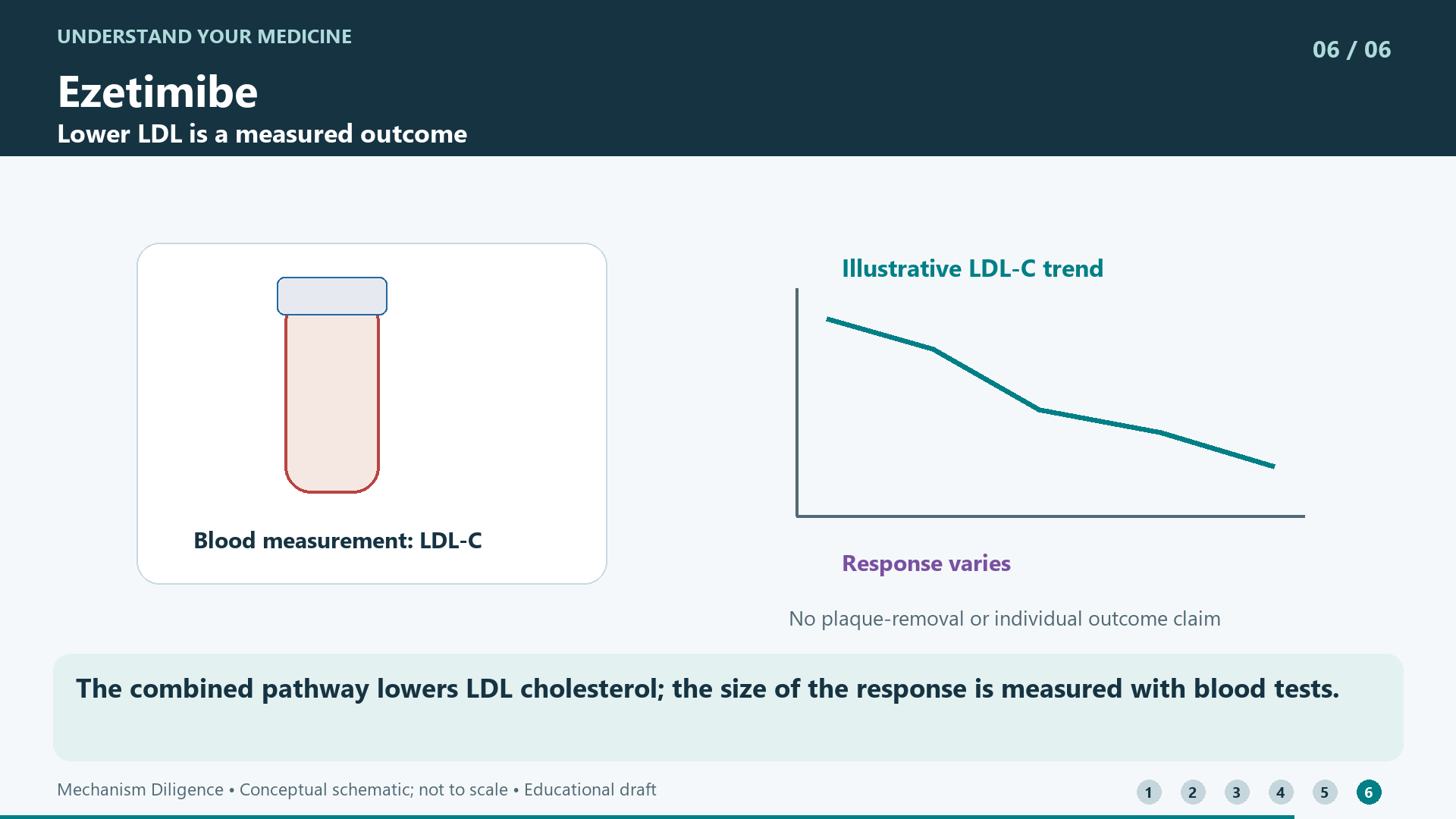 The combined pathway lowers LDL cholesterol; the size of the response is measured with blood tests.