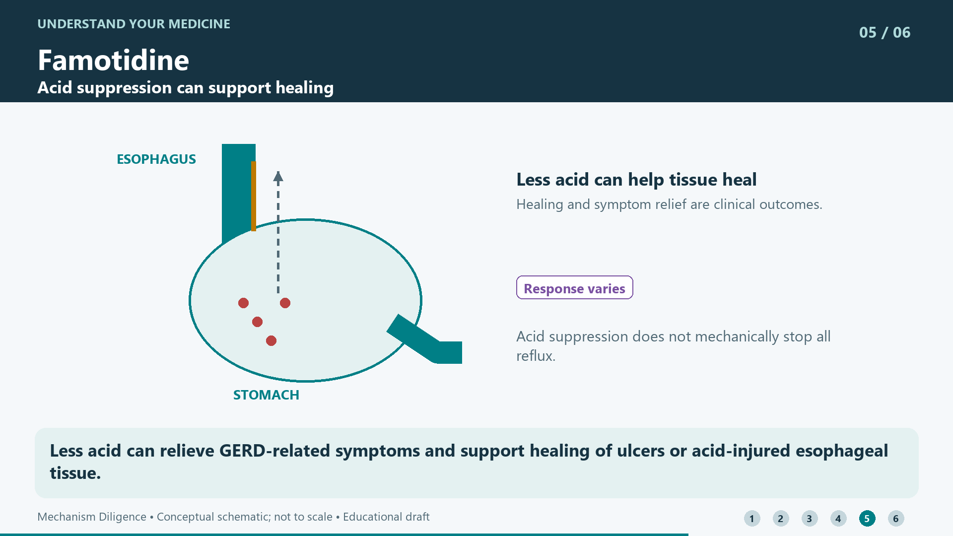 Less acid can relieve GERD-related symptoms and support healing of ulcers or acid-injured esophageal tissue.