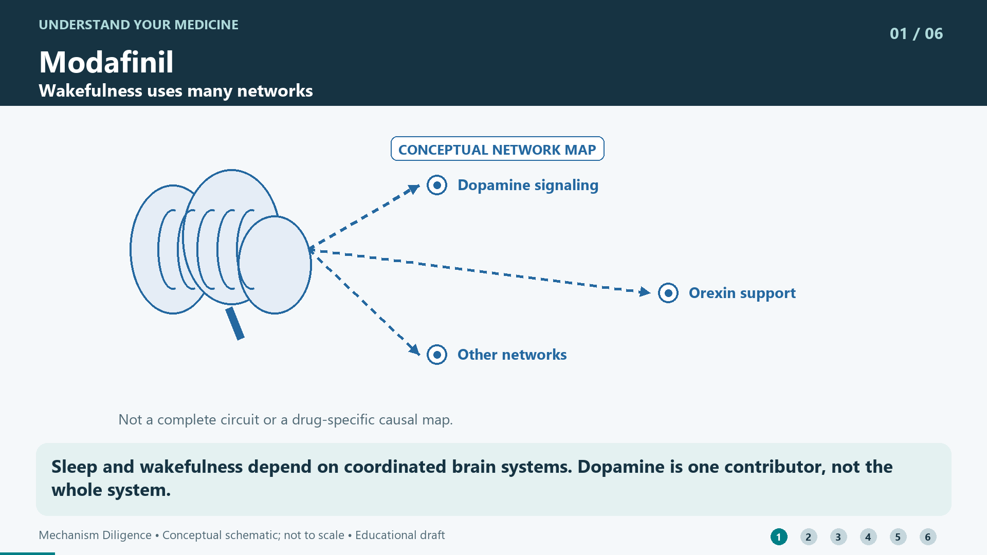 Sleep and wakefulness depend on coordinated brain systems. Dopamine is one contributor, not the whole system.