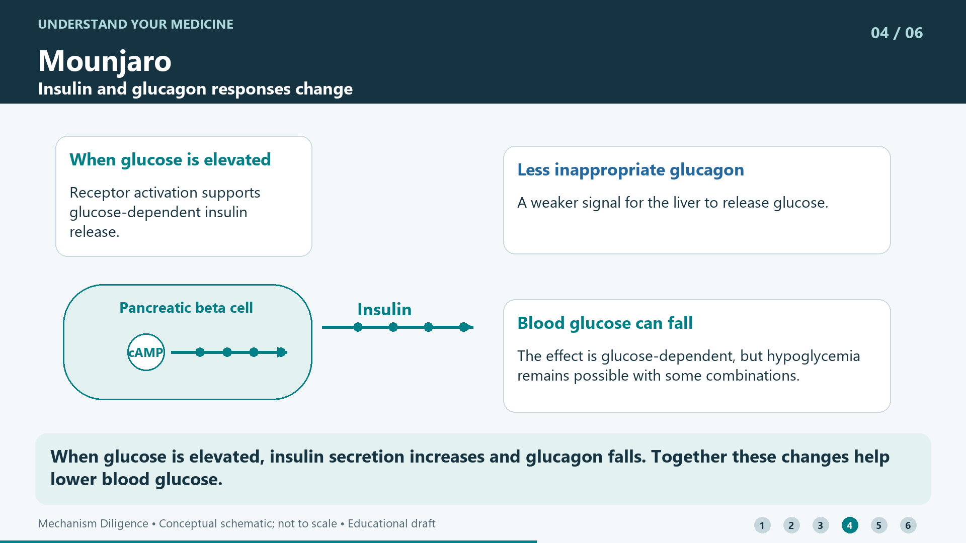 When glucose is elevated, insulin secretion increases and glucagon falls. Together these changes help lower blood glucose.
