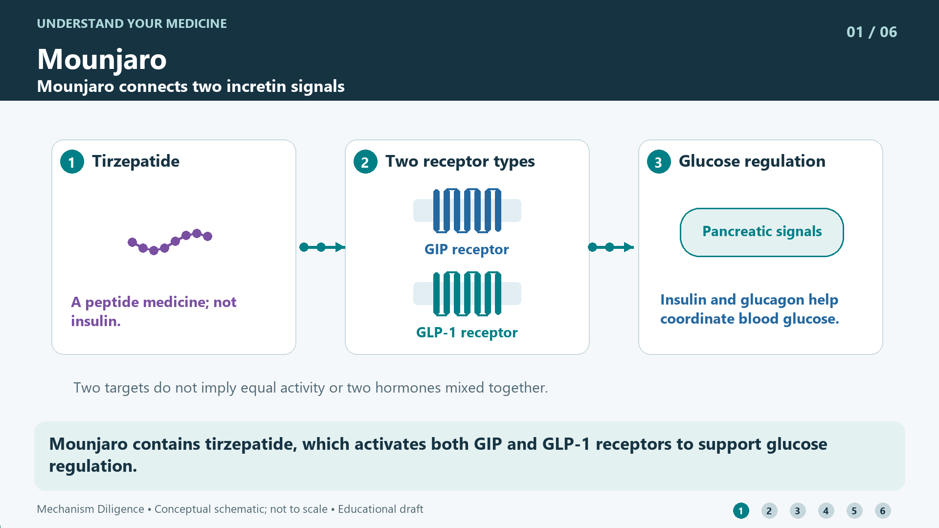 Mounjaro mechanism: Mounjaro contains tirzepatide, which activates both GIP and GLP-1 receptors to support glucose regulation.