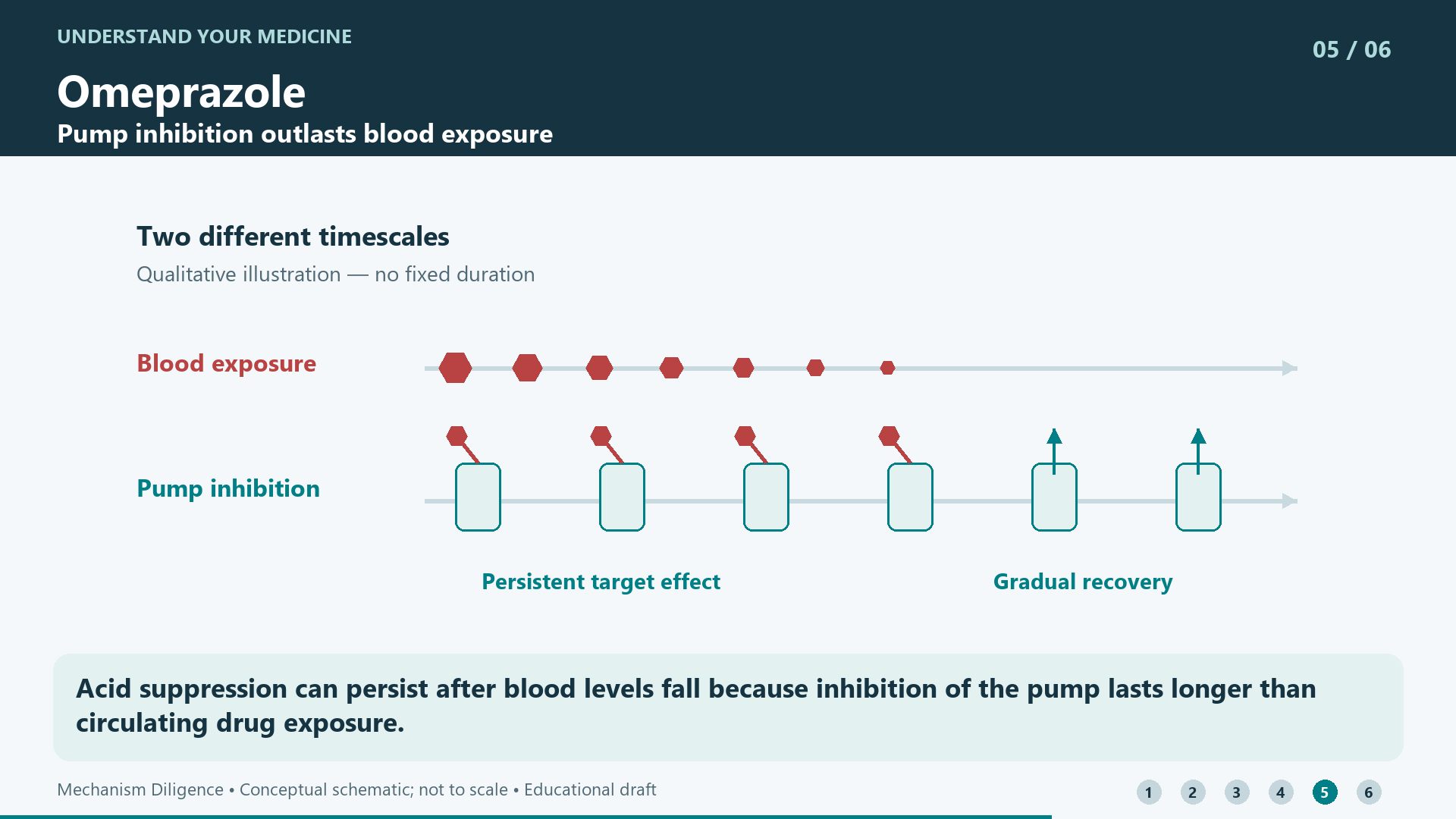 Acid suppression can persist after blood levels fall because inhibition of the pump lasts longer than circulating drug exposure.