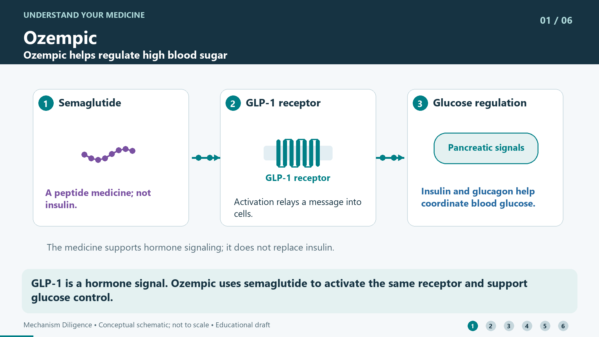 GLP-1 is a hormone signal. Ozempic uses semaglutide to activate the same receptor and support glucose control.