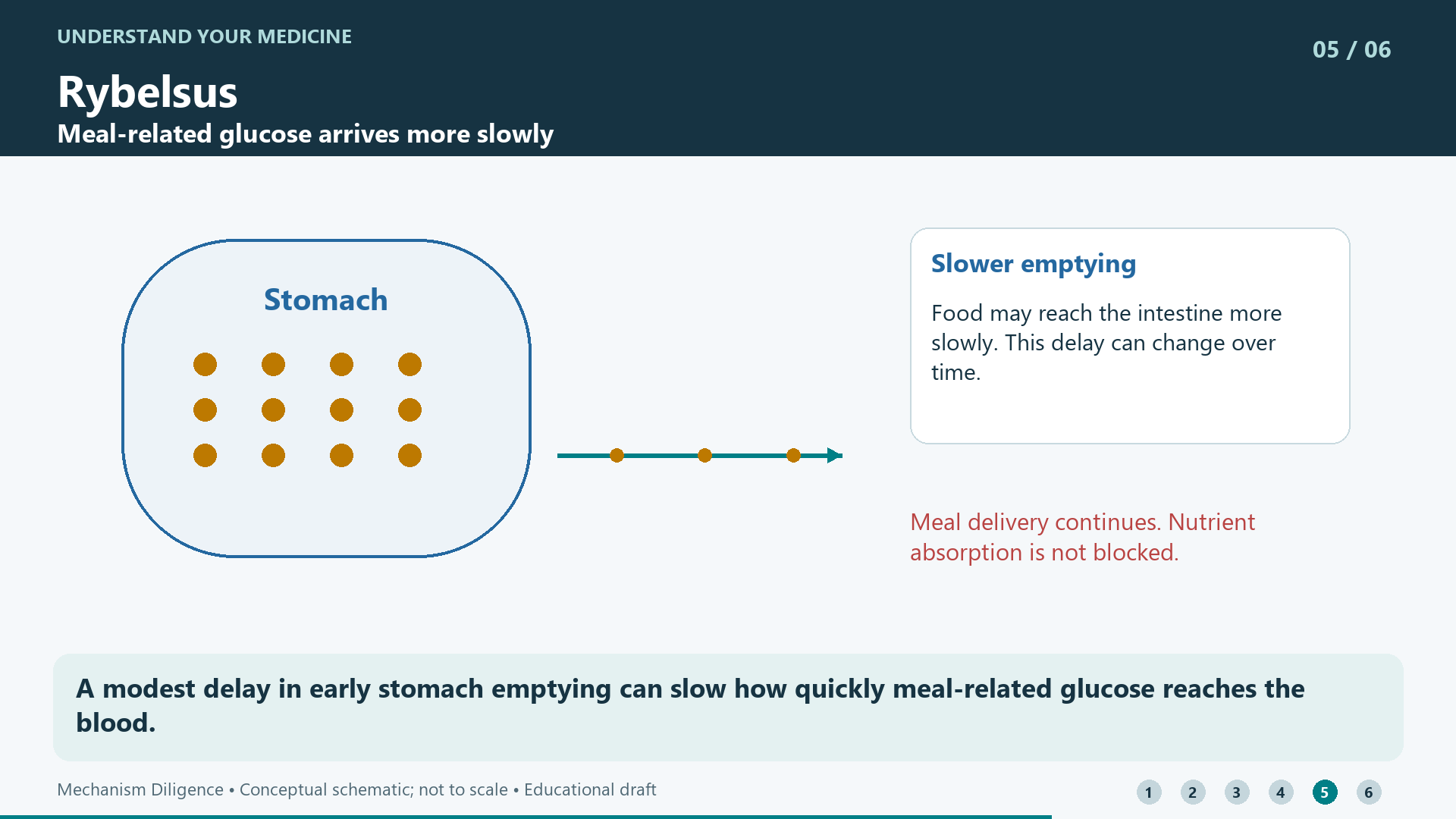 A modest delay in early stomach emptying can slow how quickly meal-related glucose reaches the blood.