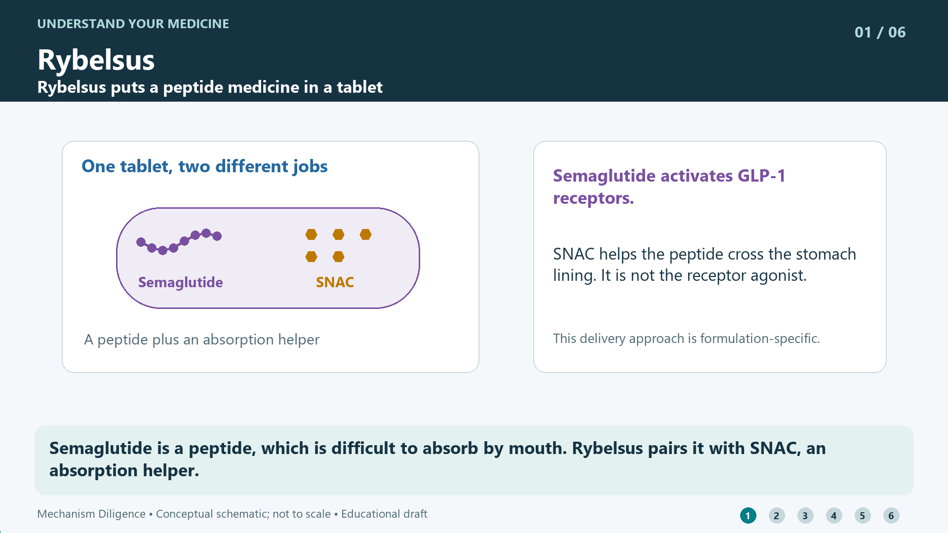 Rybelsus mechanism: Semaglutide is a peptide, which is difficult to absorb by mouth. Rybelsus pairs it with SNAC, an absorption helper.