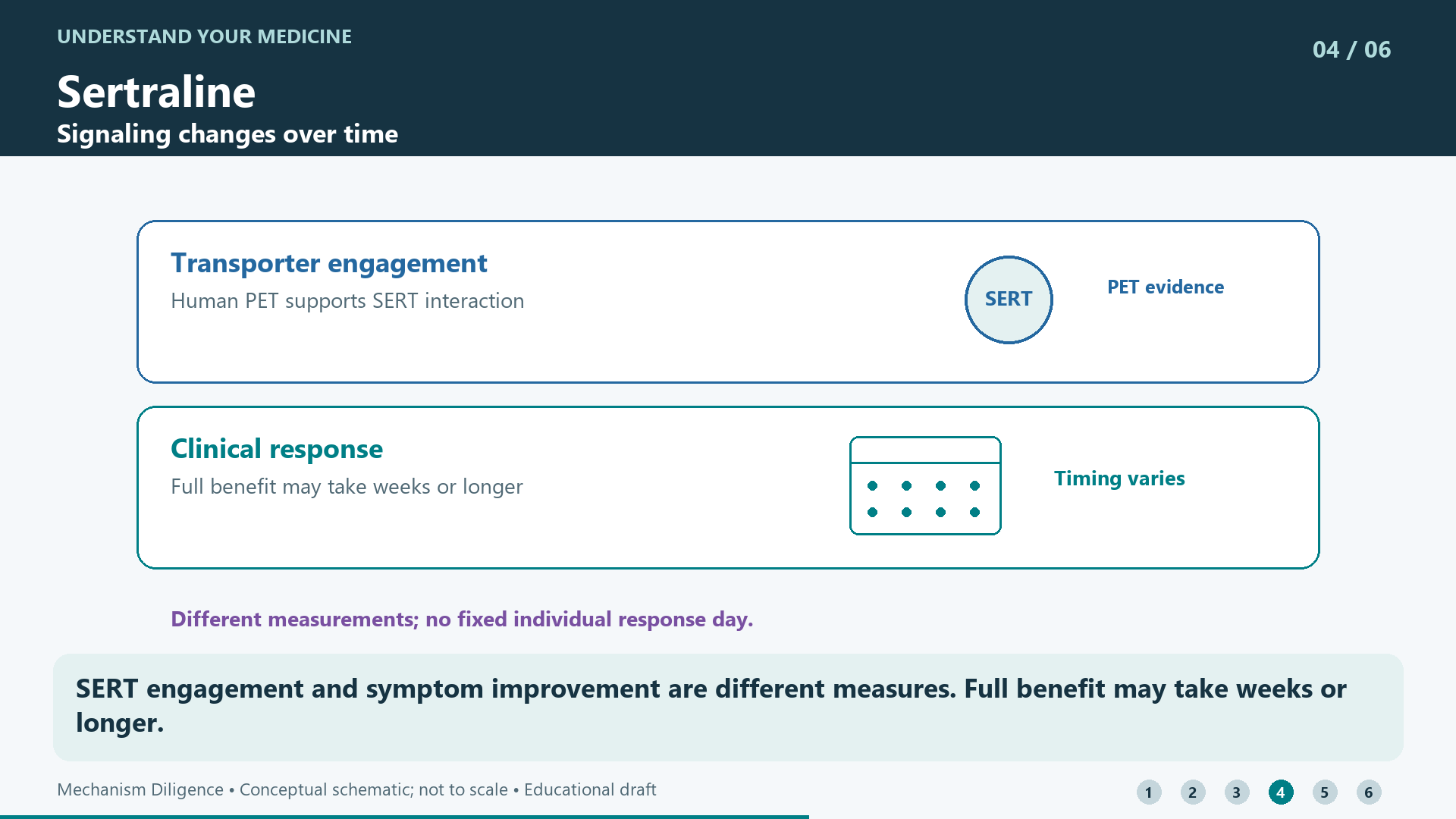 SERT engagement and symptom improvement are different measures. Full benefit may take weeks or longer.
