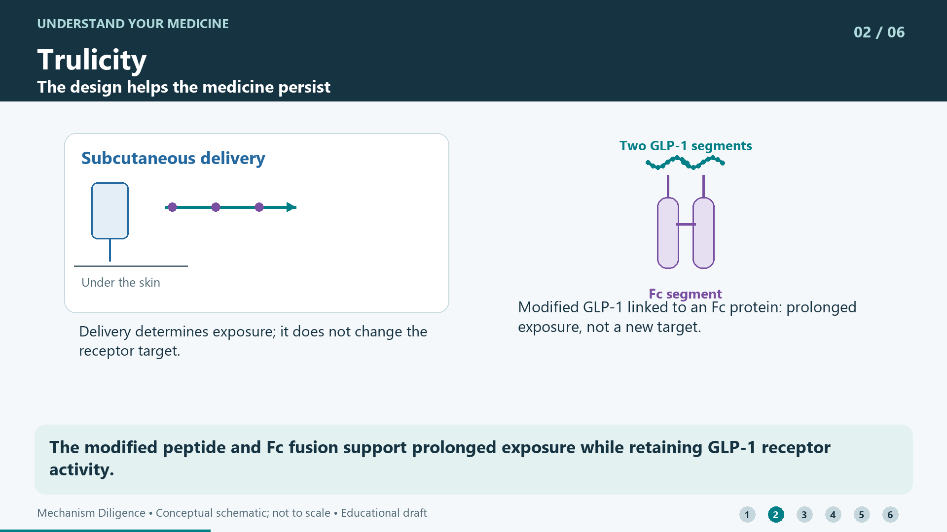 The modified peptide and Fc fusion support prolonged exposure while retaining GLP-1 receptor activity.