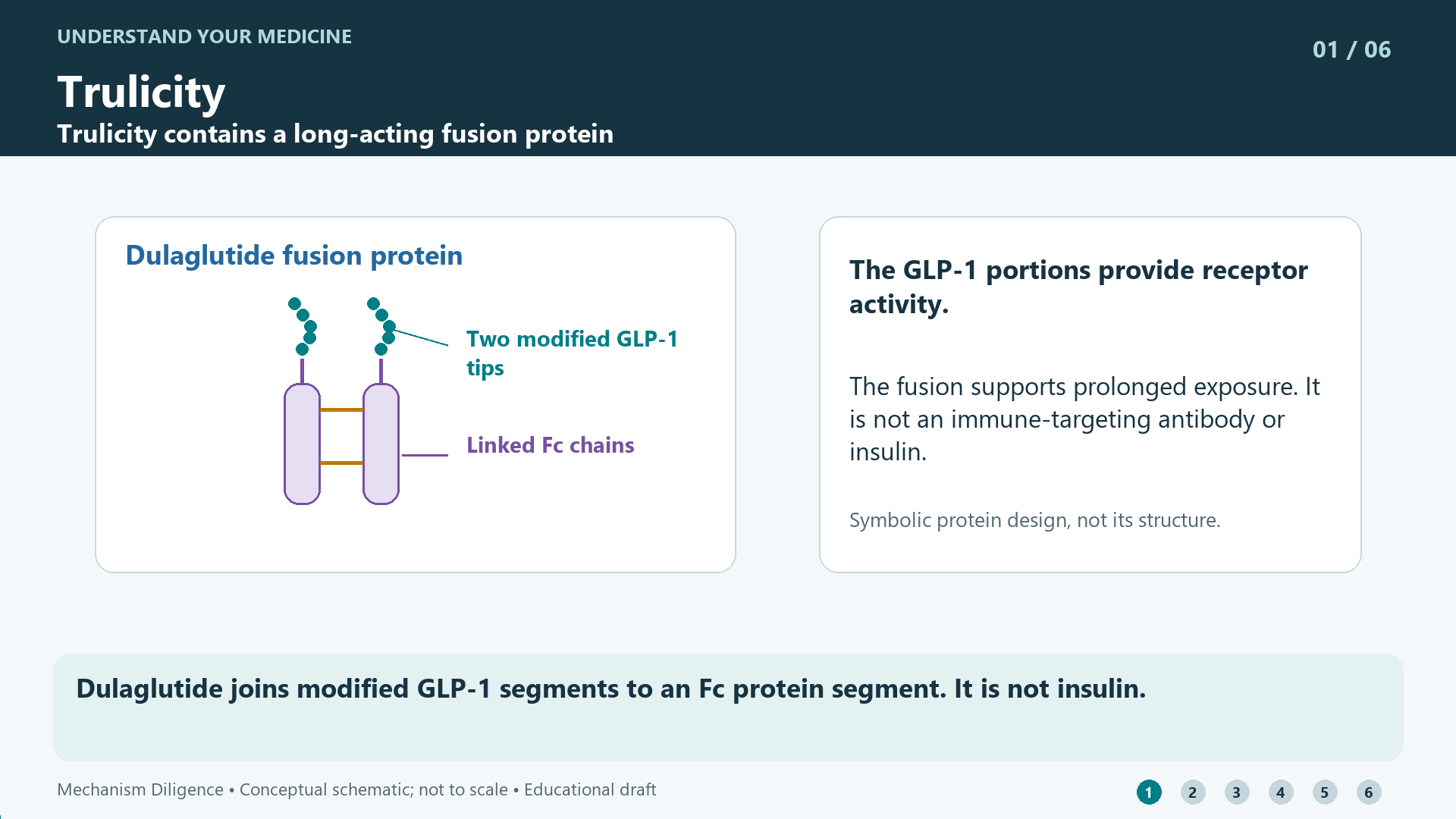 Trulicity mechanism: Dulaglutide joins modified GLP-1 segments to an Fc protein segment. It is not insulin.