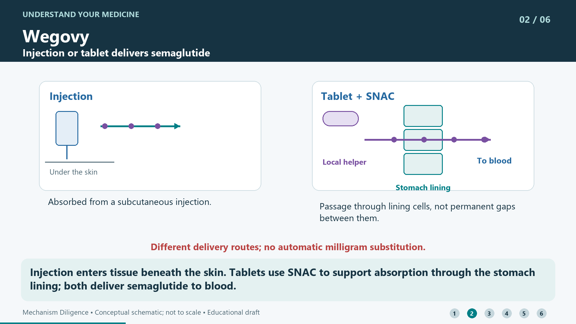 Injection enters tissue beneath the skin. Tablets use SNAC to support absorption through the stomach lining; both deliver semaglutide to blood.
