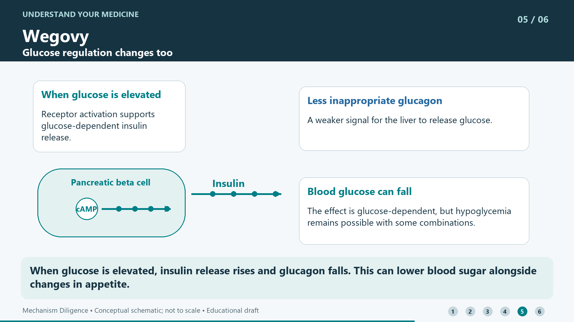 When glucose is elevated, insulin release rises and glucagon falls. This can lower blood sugar alongside changes in appetite.