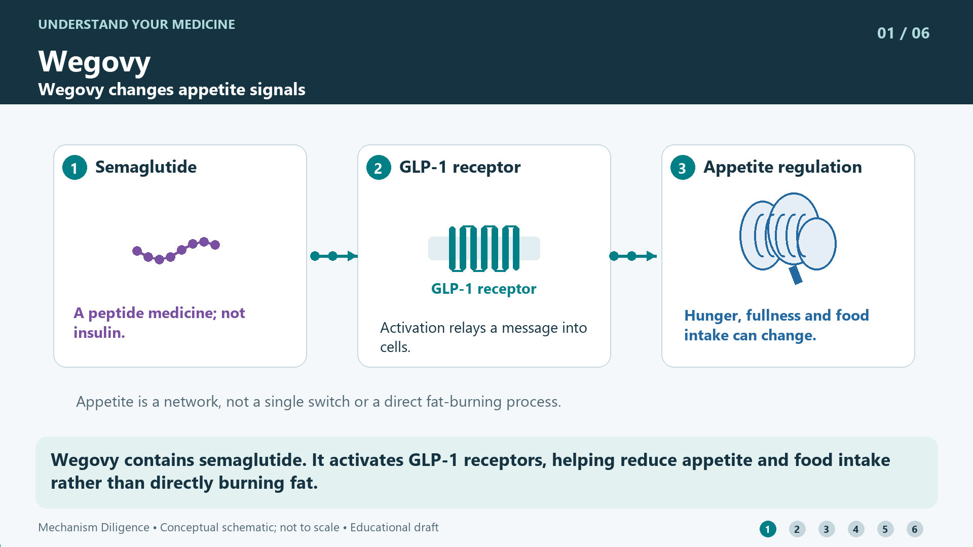 Wegovy mechanism: Wegovy contains semaglutide. It activates GLP-1 receptors, helping reduce appetite and food intake rather than directly burning fat.