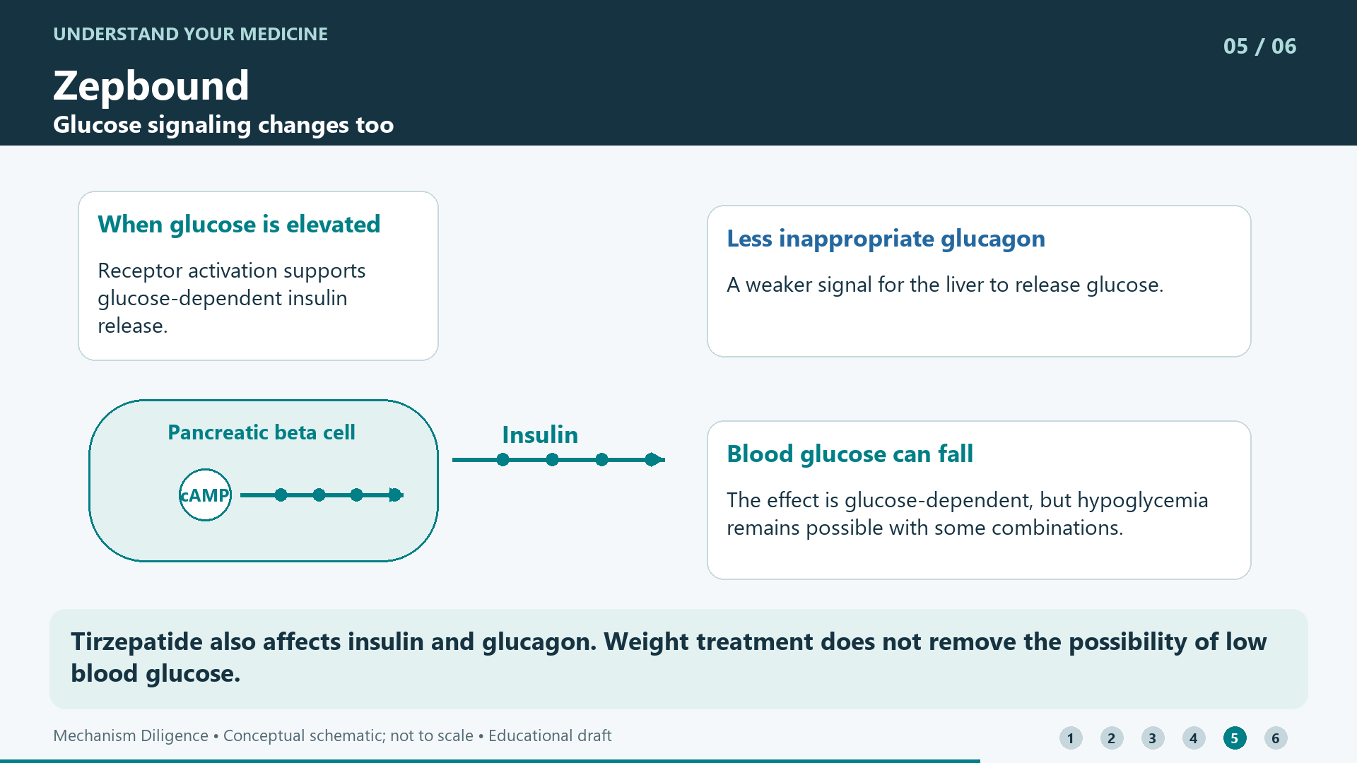 Tirzepatide also affects insulin and glucagon. Weight treatment does not remove the possibility of low blood glucose.