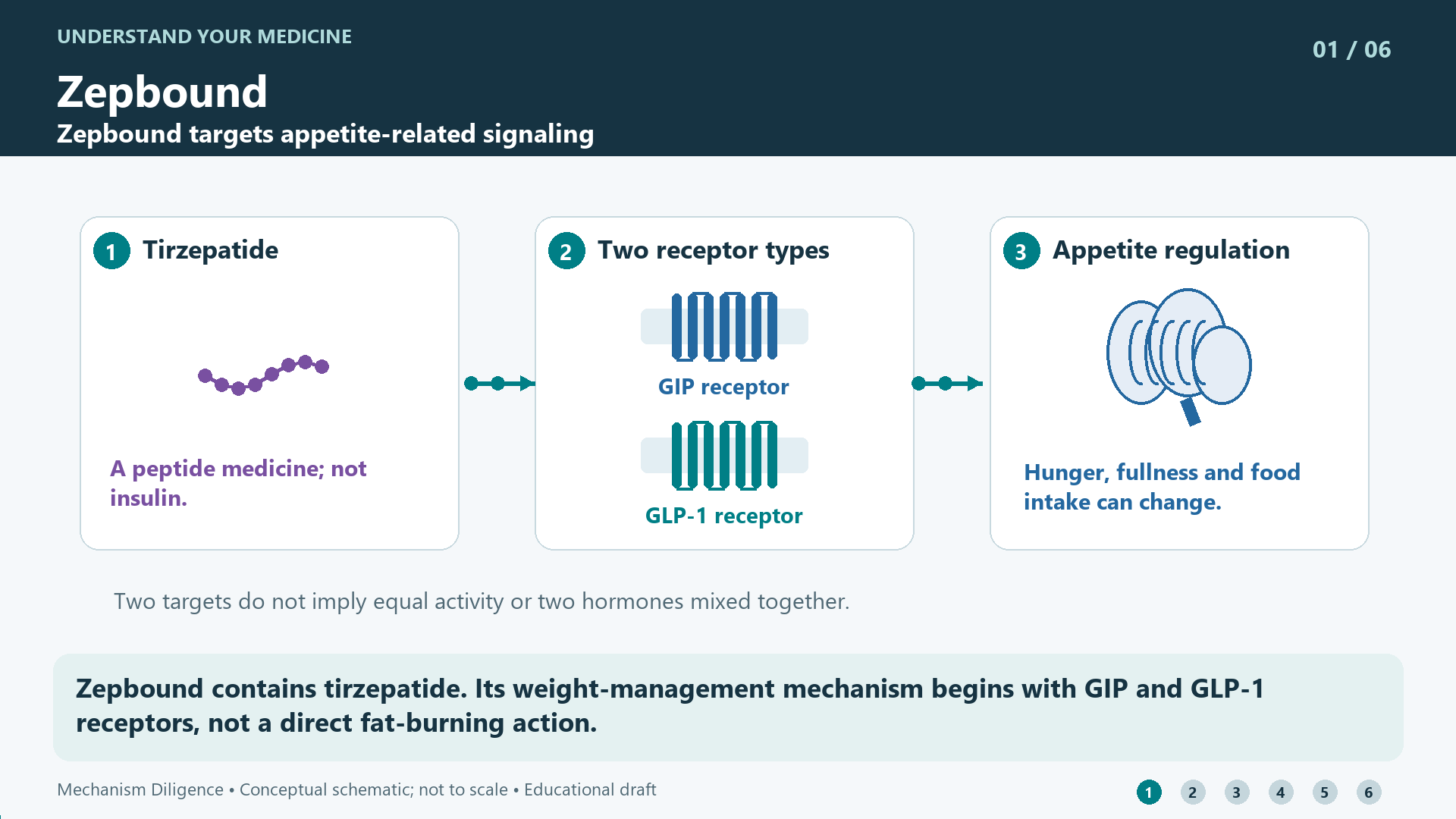Zepbound mechanism: Zepbound contains tirzepatide. Its weight-management mechanism begins with GIP and GLP-1 receptors, not a direct fat-burning action.